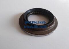 2402204HF17030OL-foton-ollin-aumark-500b-700b-800a-s720-s700-s490-350-345a-450a-s35-s50-s70-s90